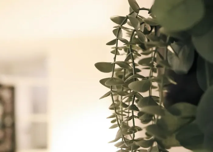 히든스테이 강남코엑스 Appartement Séoul