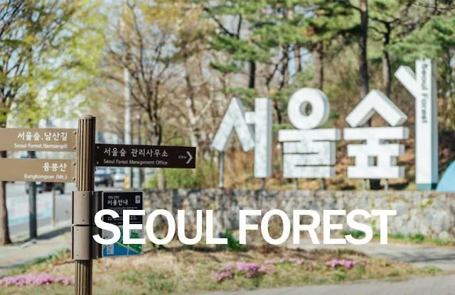 히든스테이 강남코엑스 Appartement *